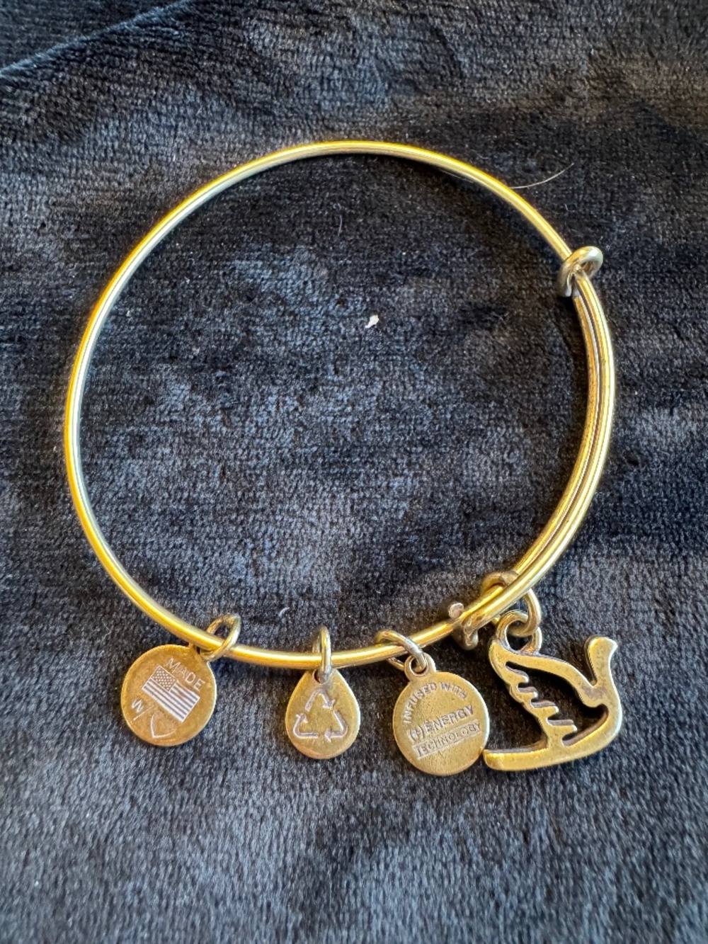 ALEX AND ANI bracelet